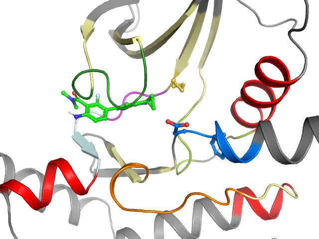 The orthosteric binding pocket