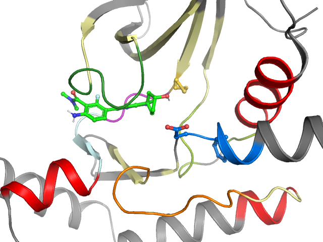 The orthosteric binding pocket