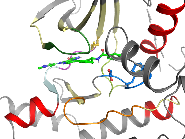 The orthosteric binding pocket