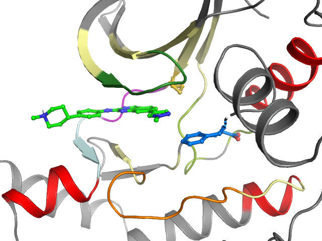 The orthosteric binding pocket