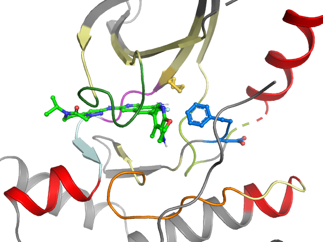 The orthosteric binding pocket