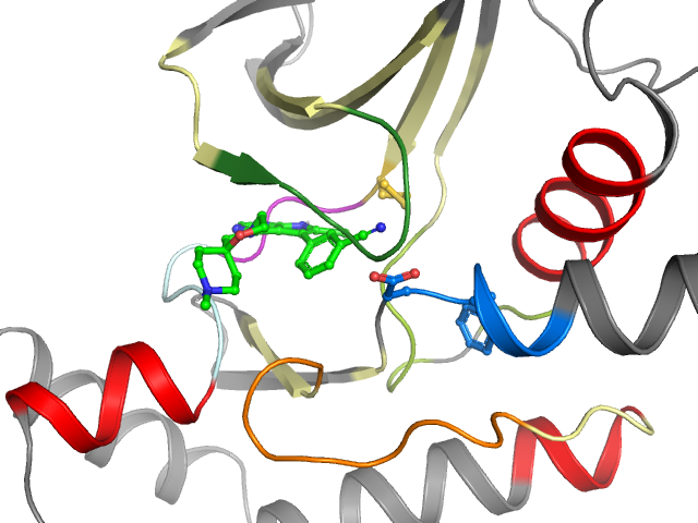 The orthosteric binding pocket