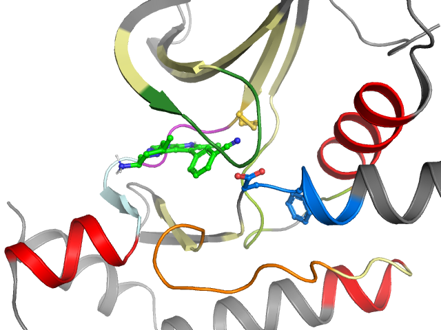 The orthosteric binding pocket