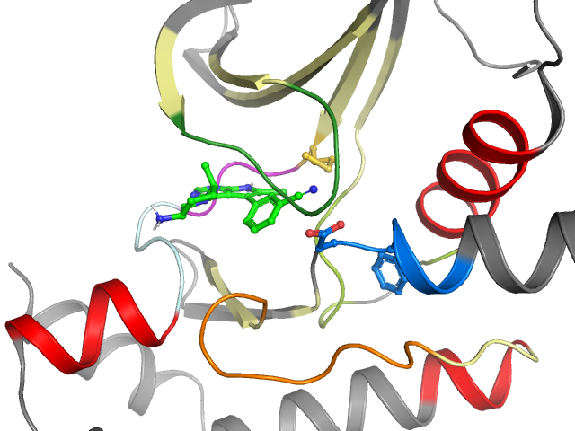 The orthosteric binding pocket