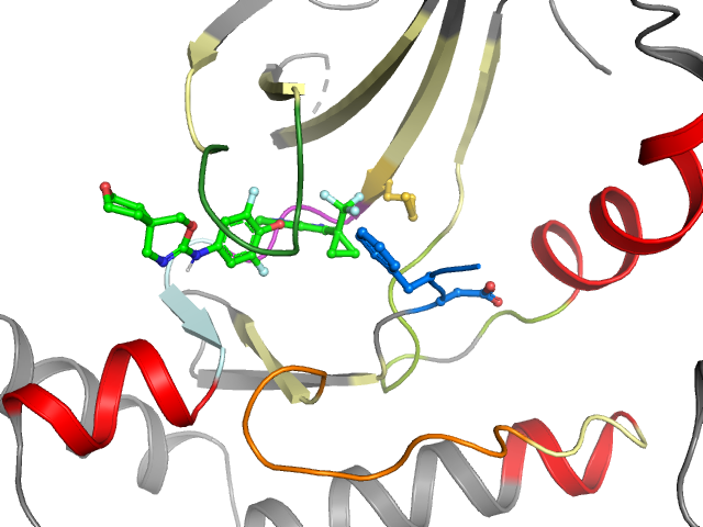 The orthosteric binding pocket