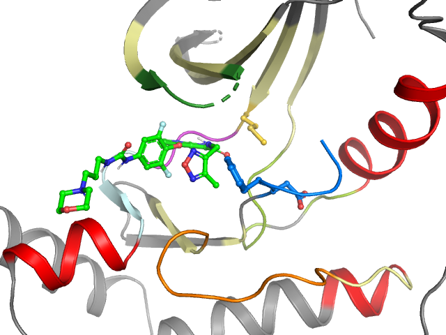 The orthosteric binding pocket