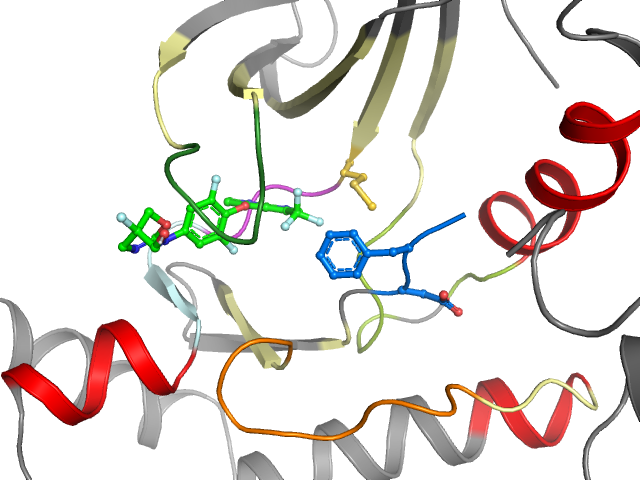 The orthosteric binding pocket