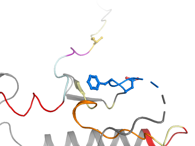 The orthosteric binding pocket