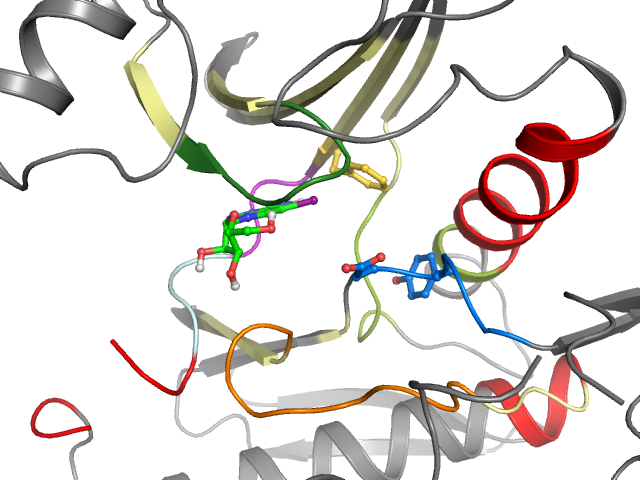 The orthosteric binding pocket