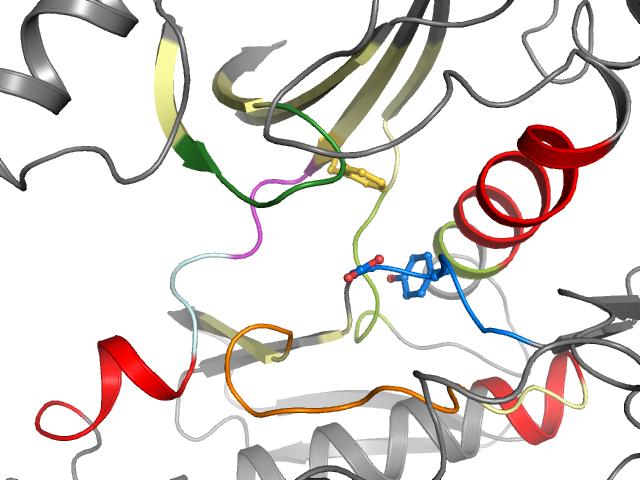 The orthosteric binding pocket