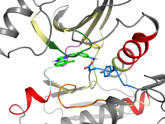 The orthosteric binding pocket