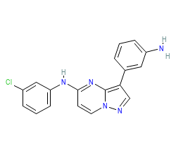 2D structure of the orthosteric ligand