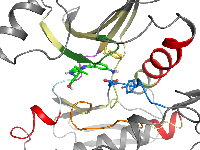 The orthosteric binding pocket