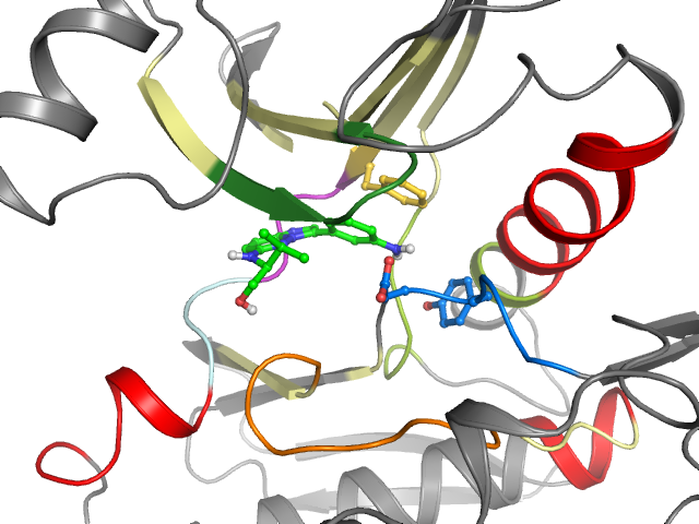 The orthosteric binding pocket