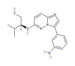 2D structure of the orthosteric ligand