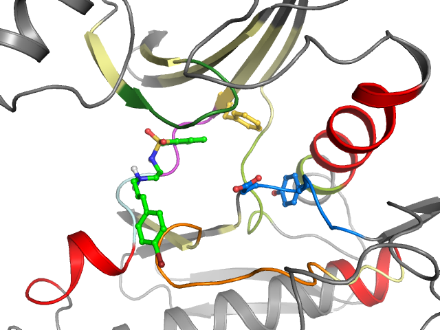 The orthosteric binding pocket