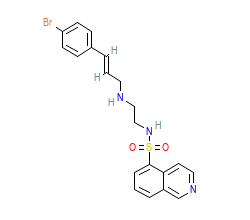 2D structure of the orthosteric ligand