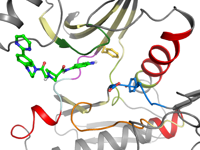 The orthosteric binding pocket