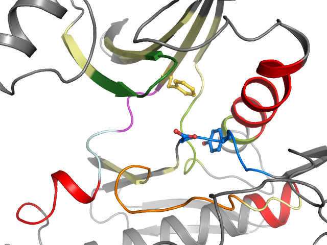 The orthosteric binding pocket
