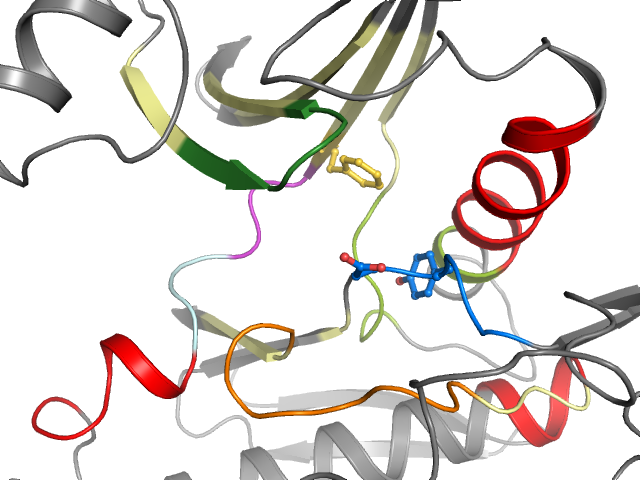 The orthosteric binding pocket