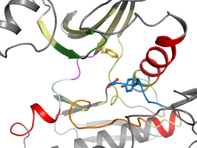 The orthosteric binding pocket