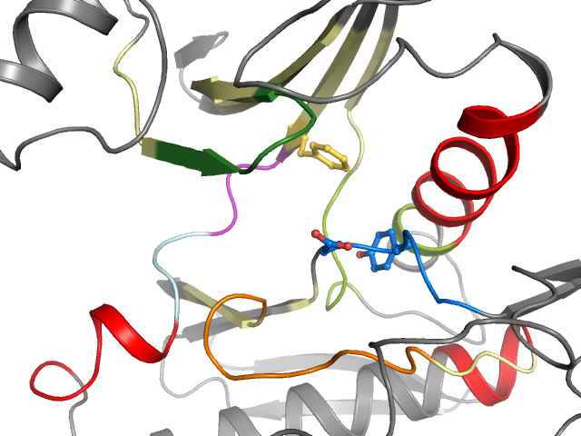 The orthosteric binding pocket