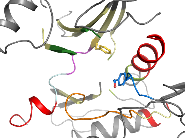 The orthosteric binding pocket