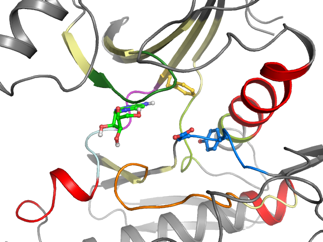 The orthosteric binding pocket