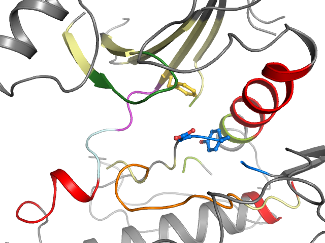 The orthosteric binding pocket
