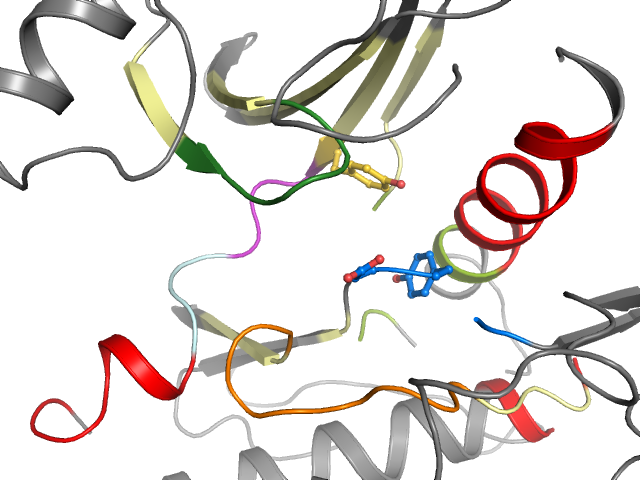 The orthosteric binding pocket