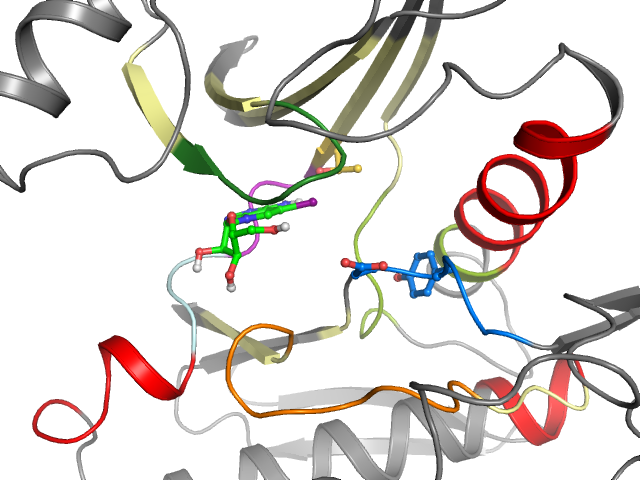 The orthosteric binding pocket