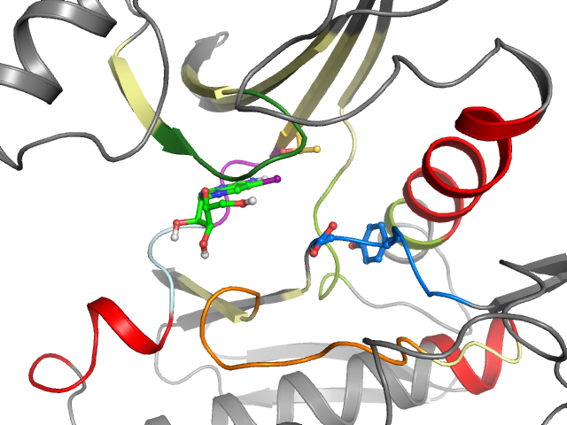 The orthosteric binding pocket