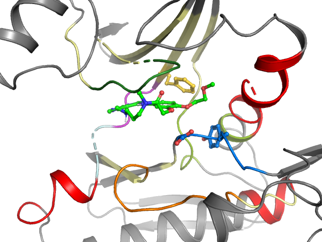 The orthosteric binding pocket
