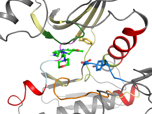 The orthosteric binding pocket