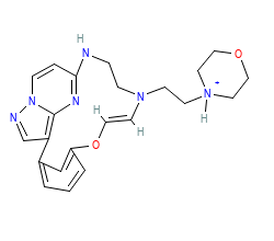 2D structure of the orthosteric ligand