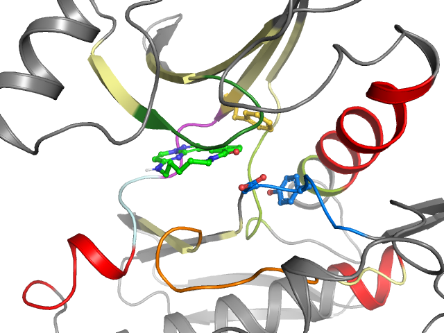The orthosteric binding pocket
