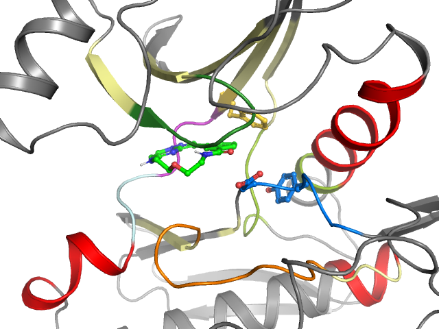 The orthosteric binding pocket