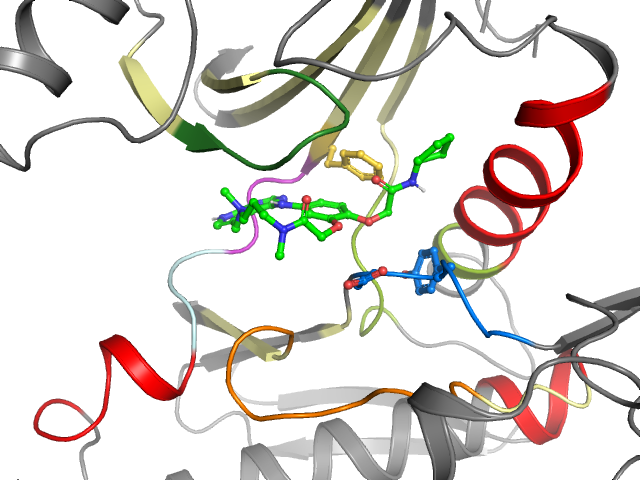 The orthosteric binding pocket