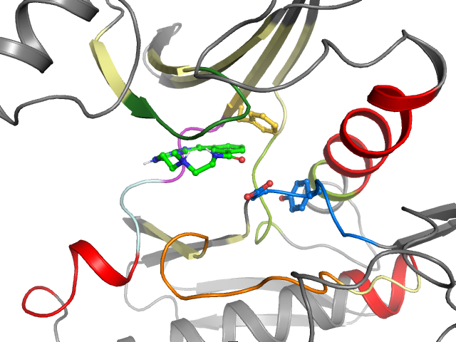 The orthosteric binding pocket