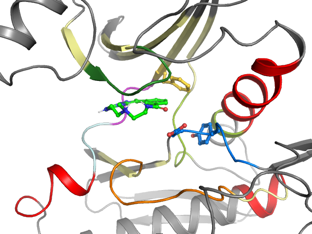 The orthosteric binding pocket