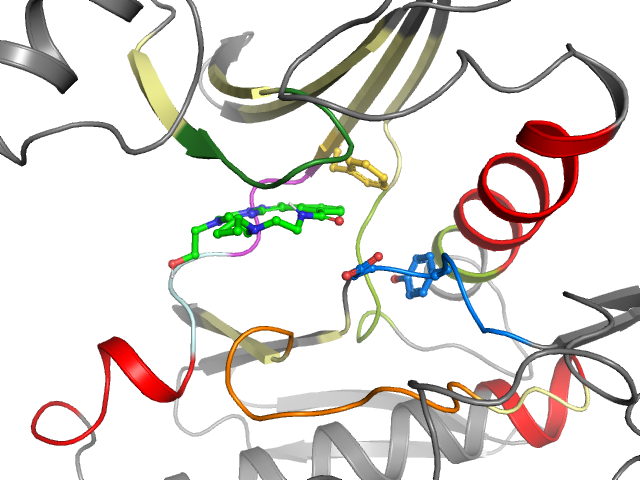 The orthosteric binding pocket
