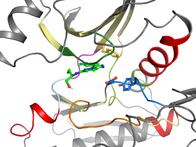 The orthosteric binding pocket