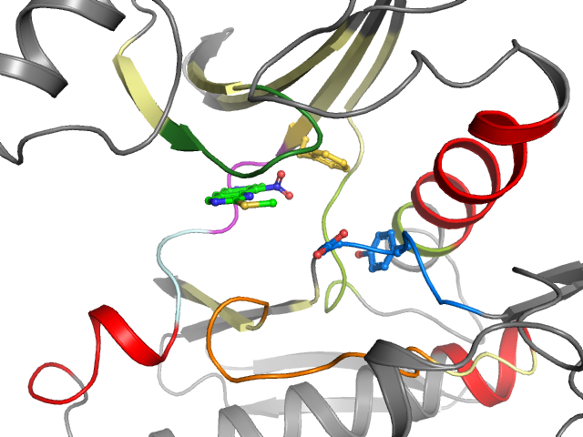 The orthosteric binding pocket