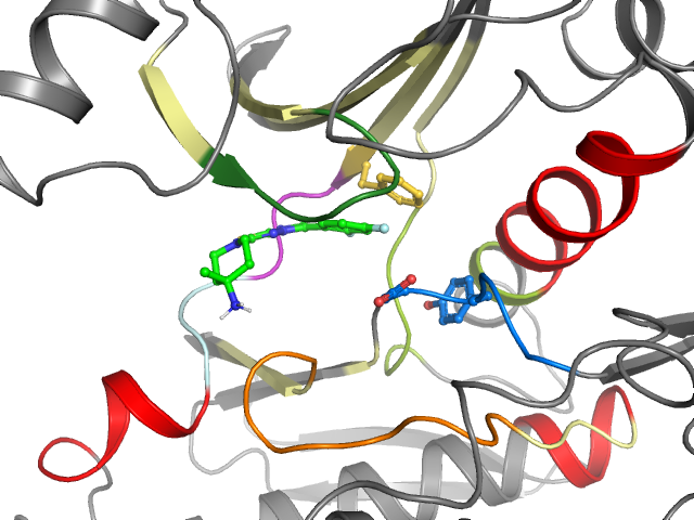 The orthosteric binding pocket