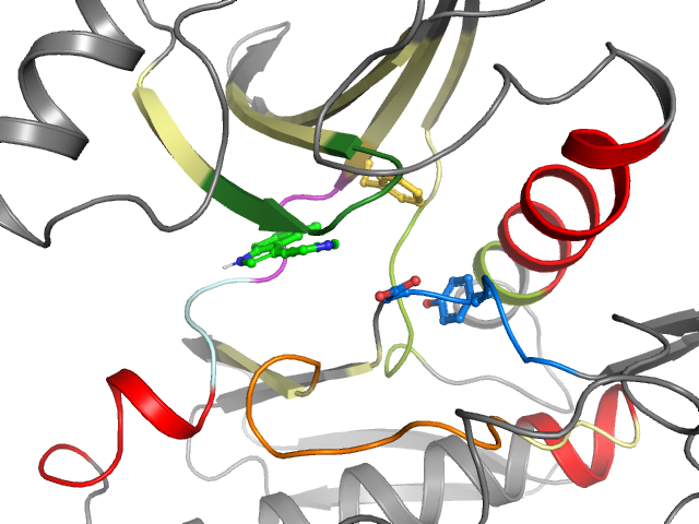 The orthosteric binding pocket