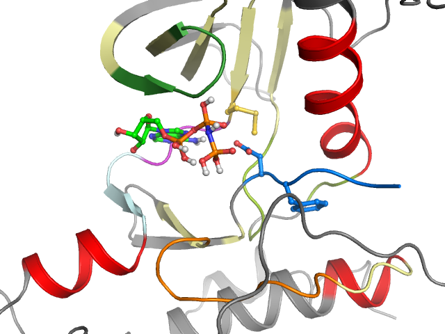 The orthosteric binding pocket