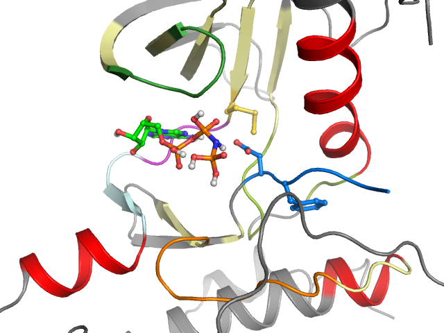 The orthosteric binding pocket