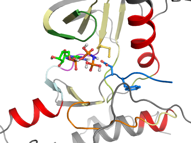 The orthosteric binding pocket