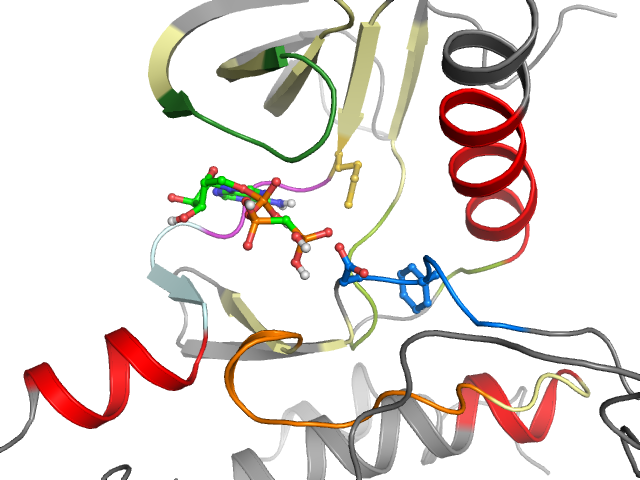 The orthosteric binding pocket