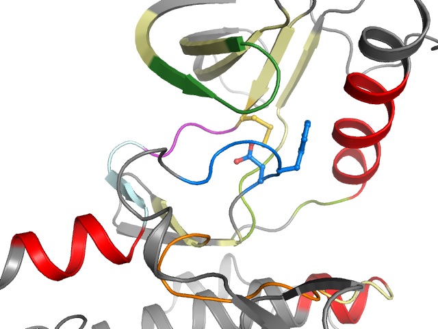 The orthosteric binding pocket